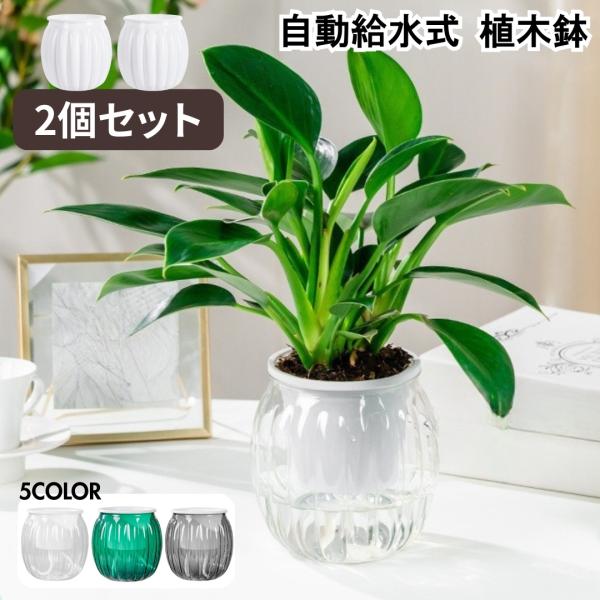 植木鉢 2個セット 自動給水式 貯水槽付き フラワーポット プランター 多肉植物 観葉植物 屋内 オフィス 卓上 プラントポット 簡単 便利 おしゃれ