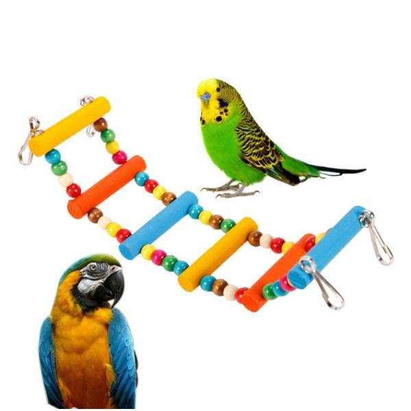 鳥 小動物用ペットグッズ セキセイインコの人気商品・通販・価格比較 - 価格.com