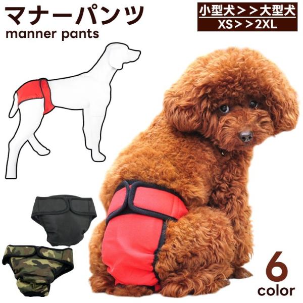 kawa-e-mon_pet-29074