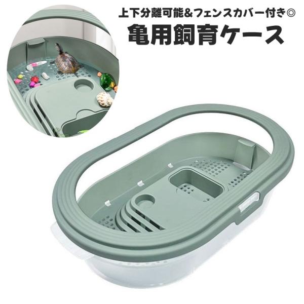 上下分離可能◎脱走防止のフェンスカバー付き♪メッシュデザインでお手入れしやすい亀用飼育ケースです。【サイズについて】画像をご参照ください。【素材について】プラスチック【カラーについて】生産ロットにより柄の出方や色の濃淡が異なる場合がございま...