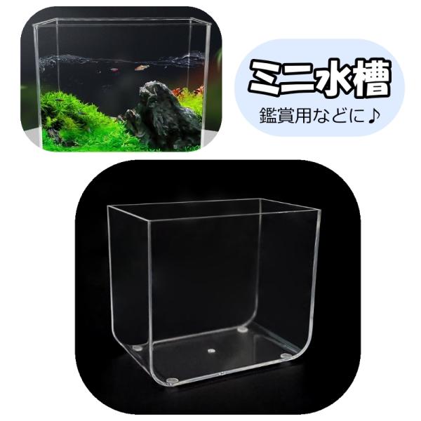ミニ水槽 小型 小さめ 水槽 プラスチック水槽 アクアリウム ペット用品 魚 メダカ 金魚 熱帯魚 亀 飼育 鑑賞