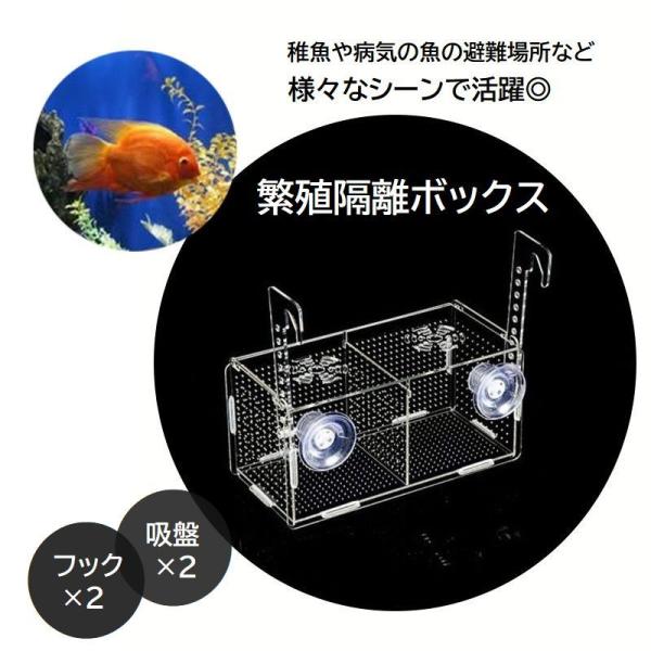 魚　隔離ボックス Amazon.co.jp: Luganud水槽用ブリーダーボックス - 産卵飼育ボックス