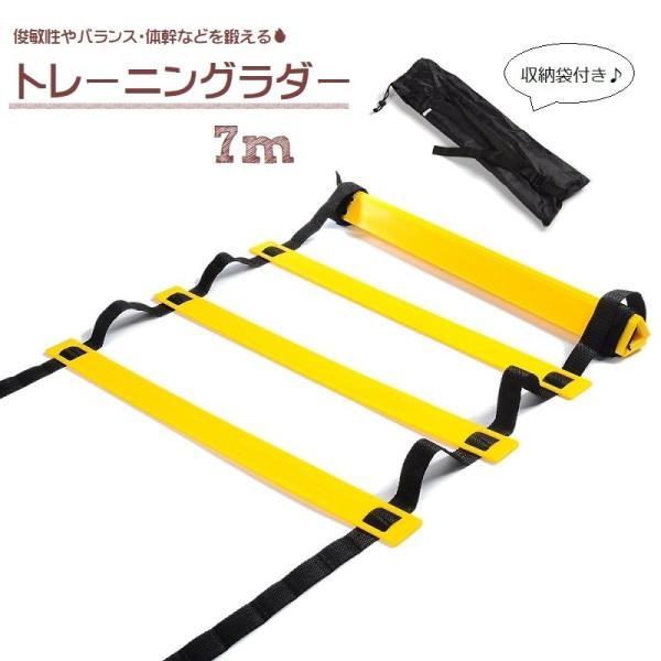 トレーニングラダー スポーツ用品 7m プレート14枚 収納袋付 練習 器具 スピードラダー アジリティラダー トレーニング ステップ はしご スポー  :zak-86696:KAWAeMON 通販 