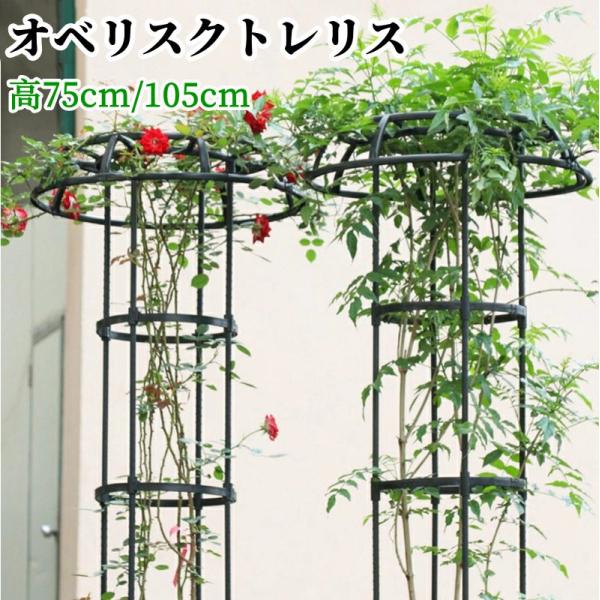 ガーデニング用支柱 オベリスク トレリス 支柱 操作簡単 金属製 簡易組立式 つる性植物 アサガオ バラ ガーデン 支柱 花支え 花 薔薇 庭 誘引 植物サポート