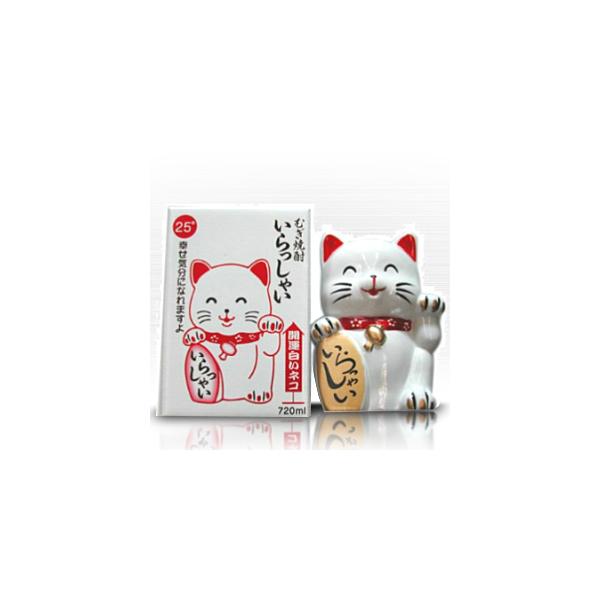 開運 白いネコ いらっしゃい 麦焼酎 720ml 25度 招き猫 置物