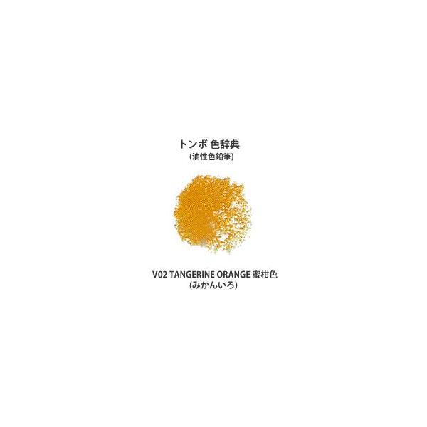 g{ FT PF V02 TANGERINE ORANGE F (݂񂢂)