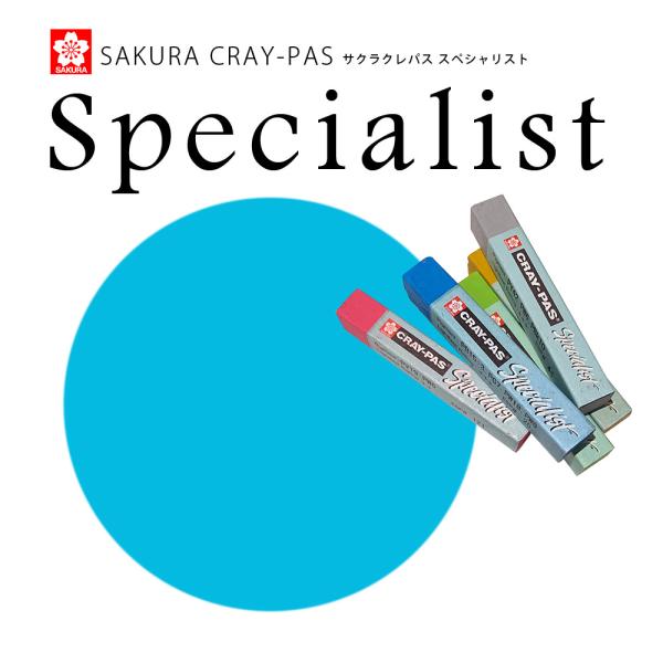 TNNpX XyVXg 125 Rogu[y[q[