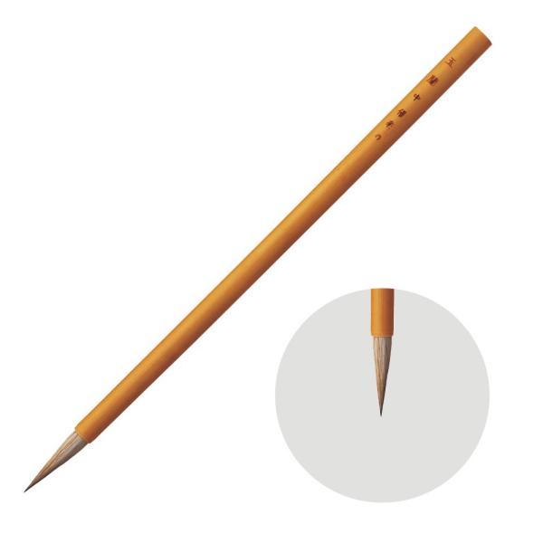 zxC {M D ʗ (傭)  vM n