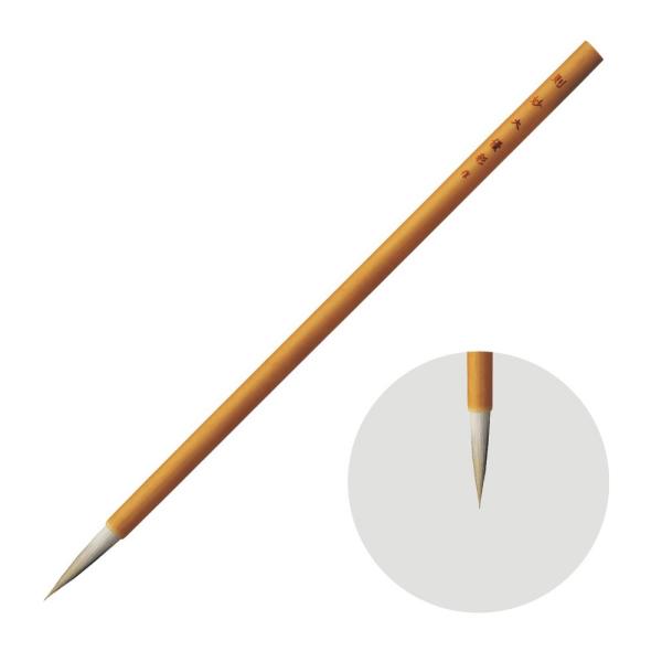 zxC {M D  (݂傤)  n