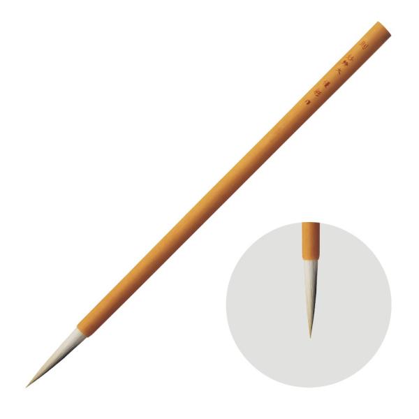 zxC {M D  (݂傤)  n