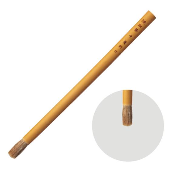 zxC {M D G (܂Ƃ)  ڂ {