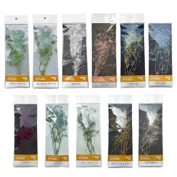 少量タイプのドライフラワー（かすみ草）です。模型やジオラマ制作の他、ウェディング等の小物作り、ハーバリウムにも使用されています。色をご選択ください。数量により送料追加となる場合がございます。その場合、当店よりメールにてご連絡をさせていただき...