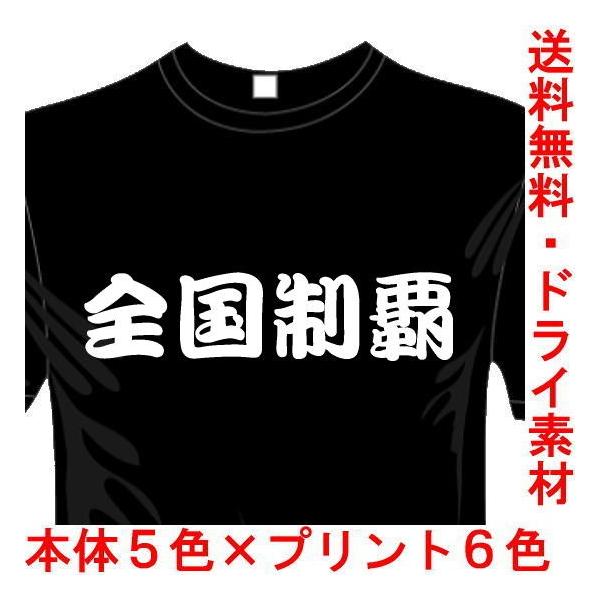 おもしろTシャツ (5×6色) 漢字面白Tシャツ 全国制覇Tシャツ 送料無料 河内國製作所