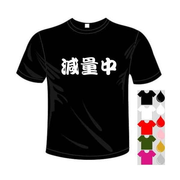おもしろTシャツ (5×6色) 漢字面白Tシャツ 減量中Tシャツ 送料無料 河内國製作所