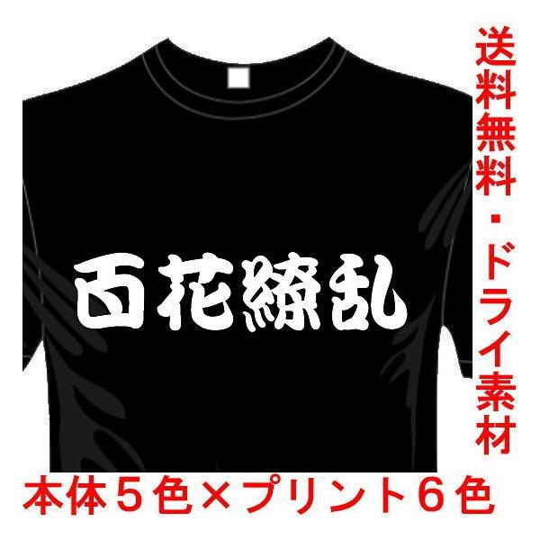 漢字おもしろTシャツ (5×6色) 百花繚乱Tシャツ 四文字熟語 ユニークなメッセージてぃしゃつ 送料無料 河内國製作所