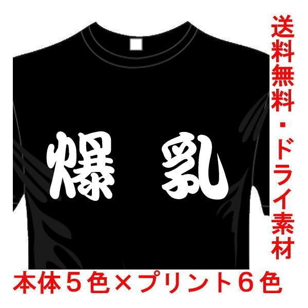 漢字おもしろTシャツ (5×6色) 爆乳Tシャツ ユニークなメッセージてぃしゃつ 送料無料 河内國製作所