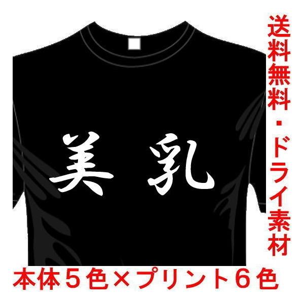 漢字おもしろTシャツ (5×6色) 美乳Tシャツ ユニークなメッセージてぃしゃつ 送料無料 河内國製作所