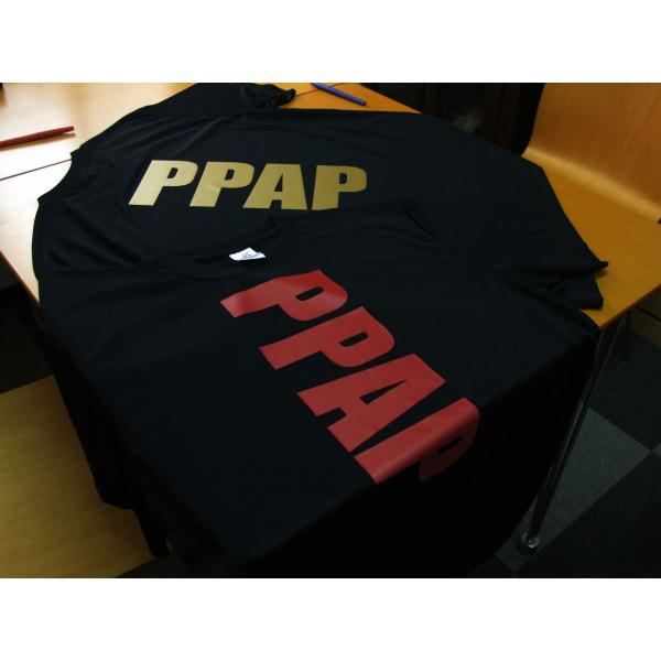 おもしろドライTシャツ (5×6色) PPAPTシャツ 送料無料 河内國製作所