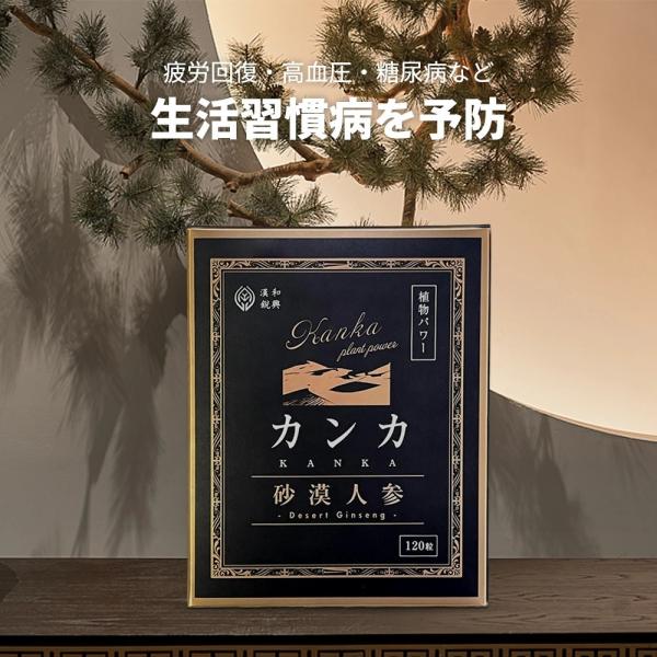 漢和鋭興カンカ砂漠人参 【送料無料】 : 漢和鋭興 - 通販