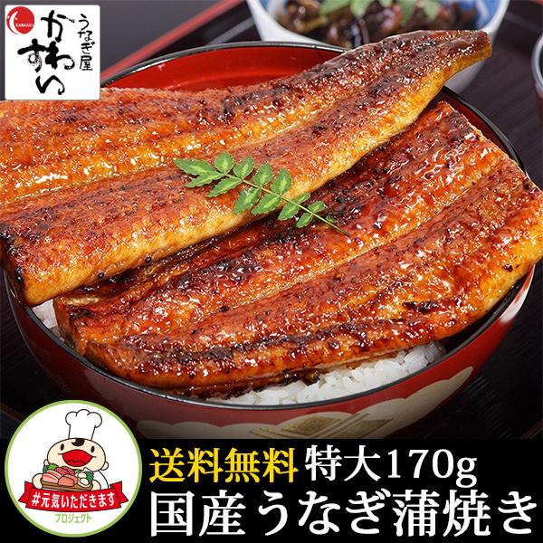 プレミアム会員 送料無料 2680円 送料無料 国産 特大 うなぎ 蒲焼き 170g 199g 1本 無投薬 元気いただきますプロジェクト うなぎ屋かわすい 川口水産 通販 Paypayモール