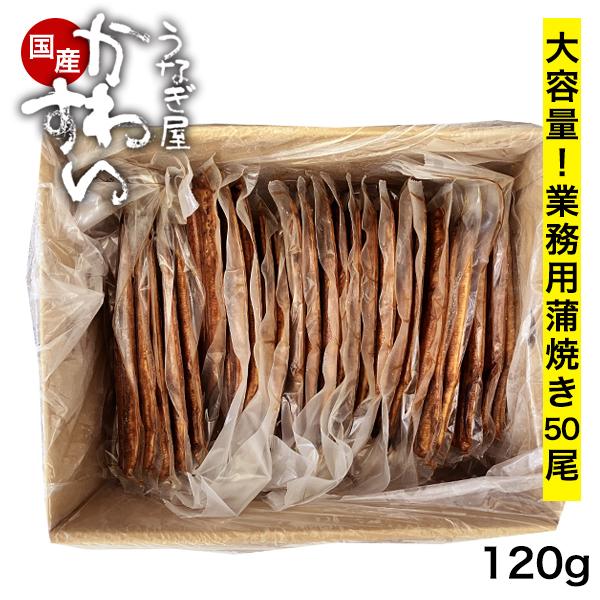 kawaguchisuisan_gl120-50