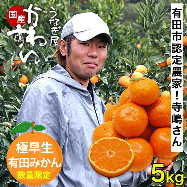 希少品種 極早生 有田みかん 5キロ 果物 10月下旬以降発送 ゆら早生みかん 寺嶋さんの有田みかん 小玉 訳あり 和歌山 ミカン フルーツ ギフト お取り寄せ