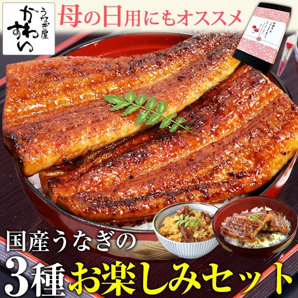 父の日 ギフト うなぎ 蒲焼き 国産 ウナギ 3種 ウナギ 鰻 蒲焼 ギフト 内祝  誕生日 早割