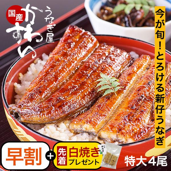早割 セール 新仔 うなぎ 蒲焼き 国産 特大サイズ170g 4尾 うなぎ屋かわすい ウナギ 鰻 グルメ 冷凍 海産 食べ物 旬 誕生日 プレゼント ギフト 秋グルメ 爆買