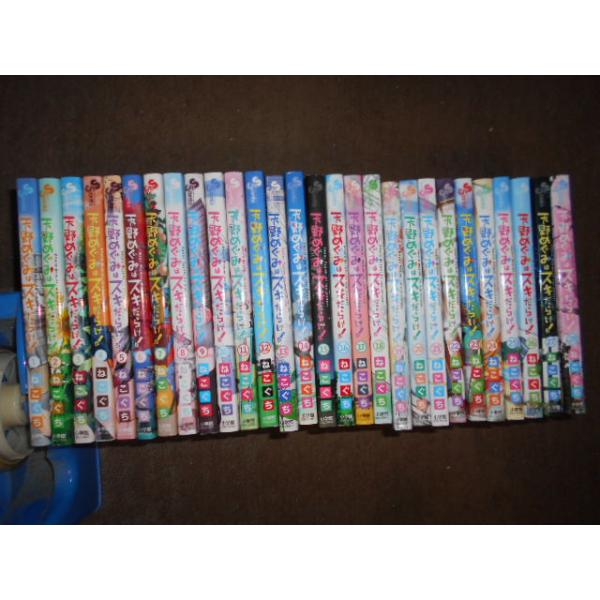 天野めぐみはスキだらけ! 全28巻セット ねこぐち 完結 : 川久 books
