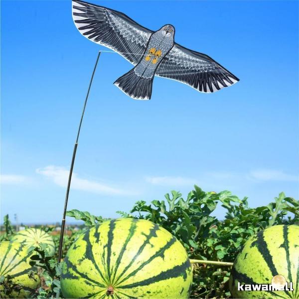 鳥よけ カイト 鷹 軽量丈夫 防鳥具 鳥追い 畑 植物保護 農業用 カイト鷹 1.5m凧爆買