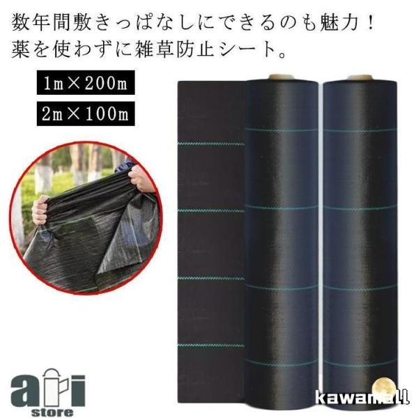 F　幅1m×長さ200m 幅2m×長さ100m爆買