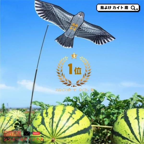 鳥よけ カイト 鷹 (ポール竿付) 軽量丈夫 防鳥具 鳥追い 畑 植物保護 農業用 カイト鷹 1.5m凧 4mポール爆買