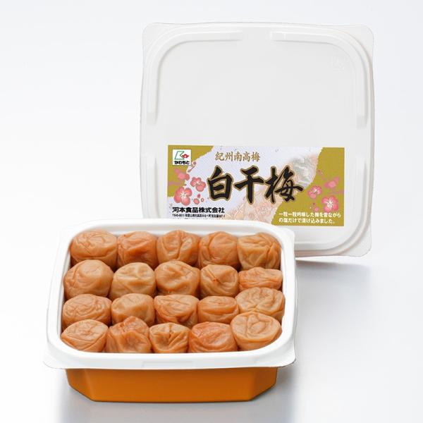 ~ a̎R IB썂~ ~500ve 20%