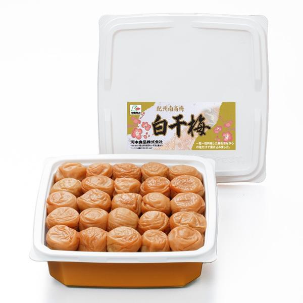 ~ a̎R IB썂~ ~800gve 20