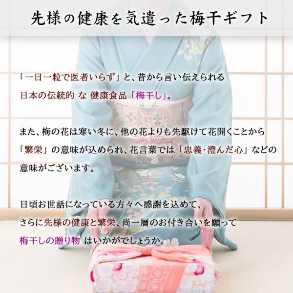 お中元梅干し贈答ギフト和歌山紀州南高梅紀州五十五万石500ｇプラ容器塩分8 包装 化粧箱なし Buyee 日本代购平台 产品购物网站大全 Buyee一站式代购