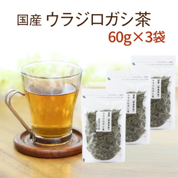 はいせき茶煎出用 40入 Amazon.co.jp: ウラジロガシ はいせき茶 煎出用 10g×40包 : 食品