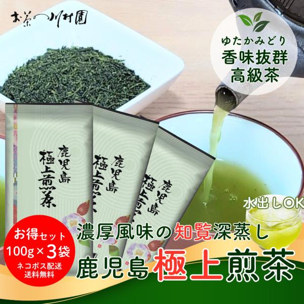 お茶 知覧茶 鹿児島極上煎茶 100g×3袋 メール便配送セット 包装不可 お茶の葉 新茶 2026年産 深蒸し茶 ゆかたみどり 緑茶 高級茶