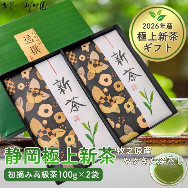 父の日 お中元 新茶 お茶 ギフト 静岡 極上新茶100g×2袋 深蒸し茶 お茶の葉 静岡茶 高級 御祝 内祝 香典返し 法事のお返し 各種のし対応