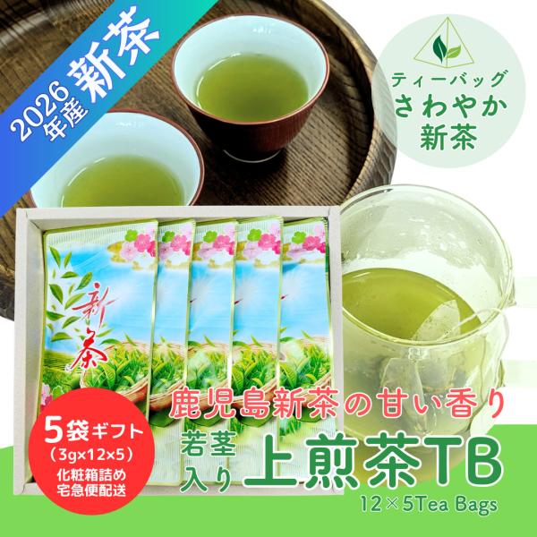 お中元 お茶 ギフト 新茶ティーバッグ×5袋 化粧箱詰め 2026年産 鹿児島