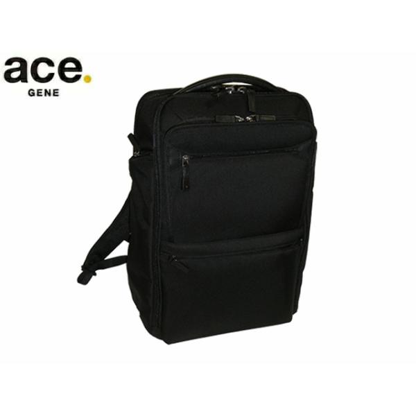 ace.GENE ACE.GENE acegene エースジーン エース ジーン EVL-4.0