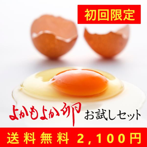 「よかもよか卵」おためしセット　MSサイズ　25個+破損補償5個込み　送料無料2,100円　宮崎県都城市産卵