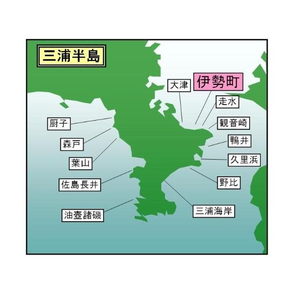 マイ海図 高精細印刷版パウチ加工無し東京湾 伊勢町海岸11枚組 : と