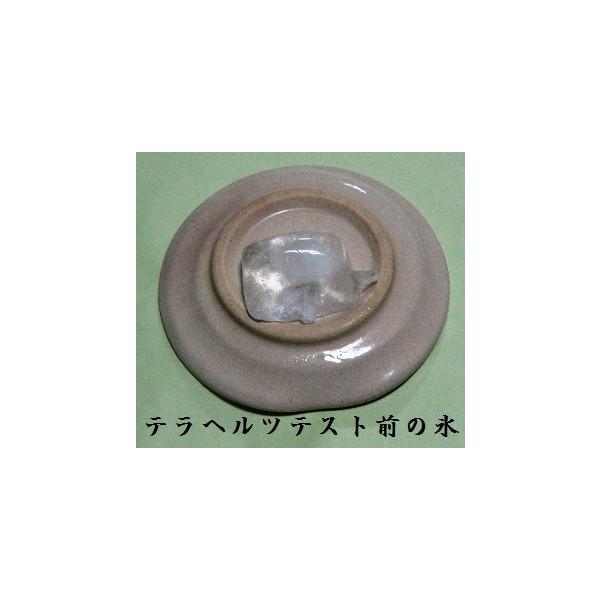 美顔器 マッサージ器 Buyee Buyee Japanese Proxy Service Buy From Japan Bot Online