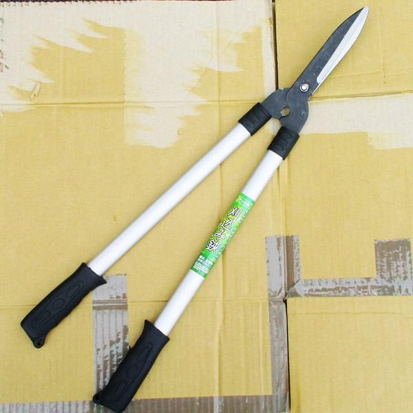 荞݂΂  yʃA~ ؂̂ nT~pn| WJ-064