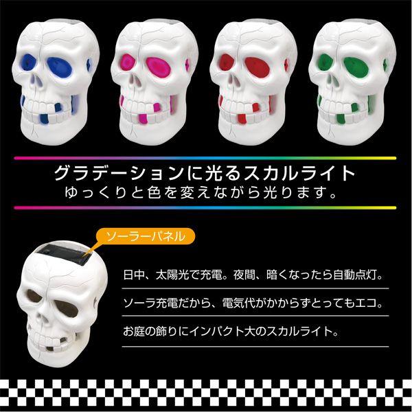 \[[Cg LED [d Of[V XJCgx6//