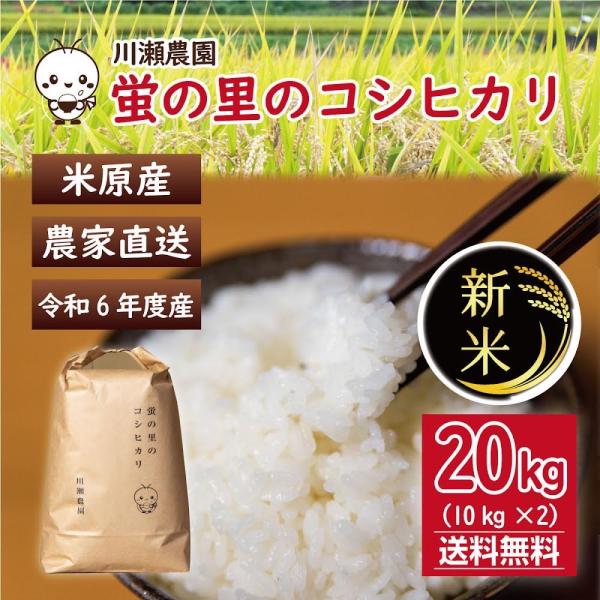 コシヒカリ 新米コシヒカリ 20kg(10kg×2) 1等米 白米,玄米 令和 コシヒカリ 新米コシヒカリ 20kg(10kg×2) 1等米 白米,玄米 令和