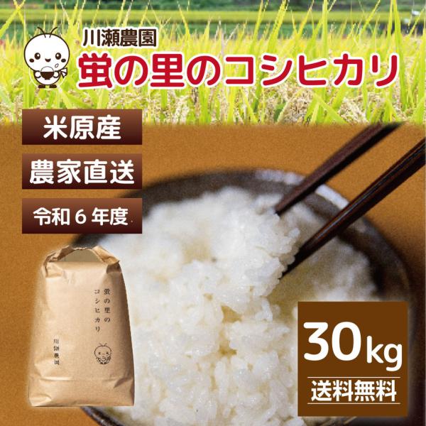 コシヒカリ 10個限定 30kg(10kg×3) 1等米 白米,玄米 令和6年産 コシヒカリ 10個限定 30kg(10kg×3) 1等米 白米,玄米 令和6年産