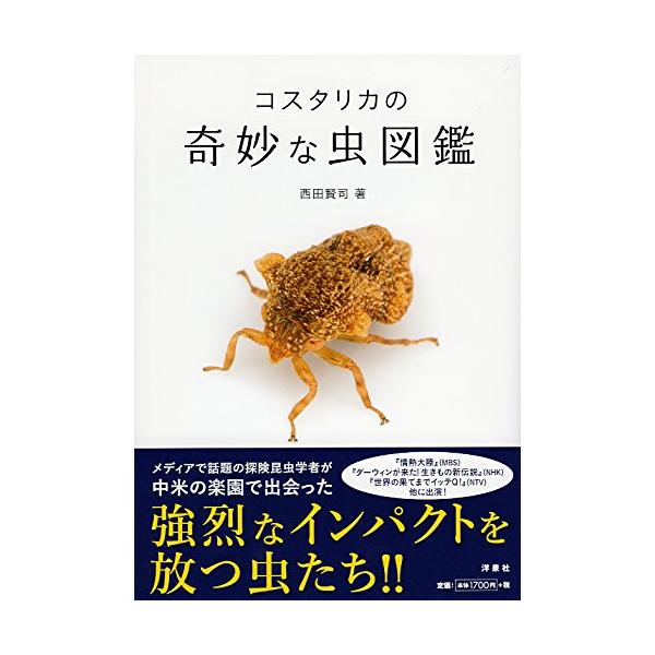 コスタリカの奇妙な虫図鑑