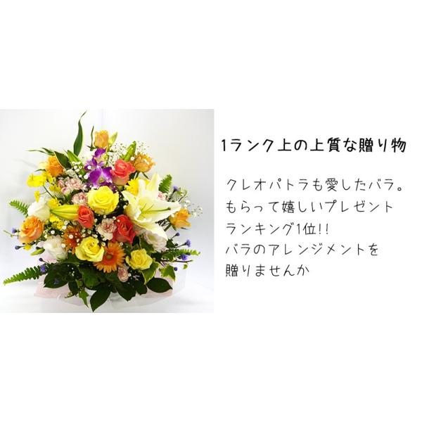 花プレゼント大サイズアレンジメント父の日花農家直送送料無料誕生日結婚記念日退院祝い退職 祝い女性男性母30代40代50代60代70代80代90代 Buyee