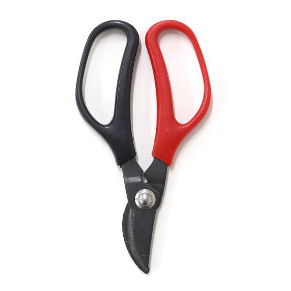 園芸はさみです。手になじむソフトグリップです。ガーデニング等に便利に使えます。●サイズ(約)・79×全長145mm●耐熱70度/耐冷-20度 ●材質・刃部:鉄(刃物鋼 塗装) リベット:ステンレススチール ハンドル:ABS樹脂●用途・鋏 ハ...